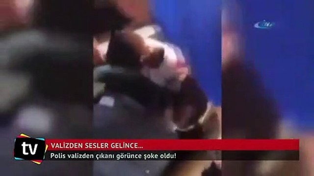 Polis valizden çıkanı görünce şoke oldu!