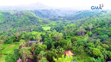 Visiting a domesticated Palawan bearded pig | Born to be Wild
