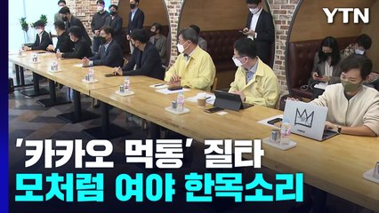 '카카오 먹통' 질타 한목소리...김범수 국감 증인 협의 / YTN