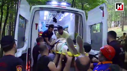 Otomobil ağaçlık alana devrildi