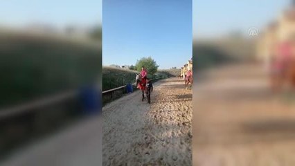 Yarışta attan düşüp yaralanan jokey, mesleğini bırakmanın üzüntüsünü yaşıyor