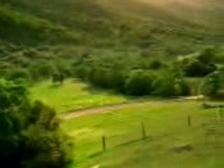 REGARDE DE PLUS PRET DANS LE FON DU DECOR