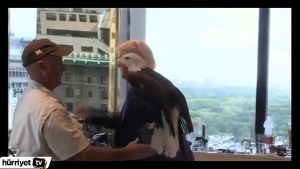 Trump’a kartal saldırısı