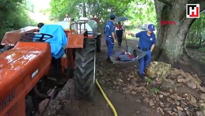 Sığındığı ağaca yıldırım düşen savcı öldü