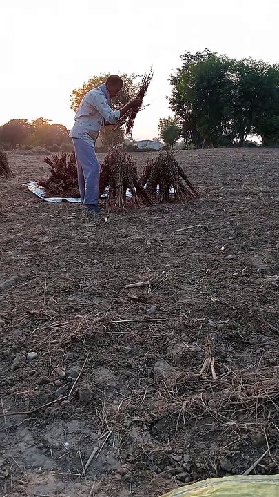 Indian kisan