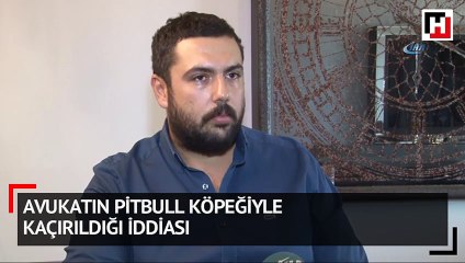 Avukatın pitbull köpeğiyle kaçırıldığı iddiası