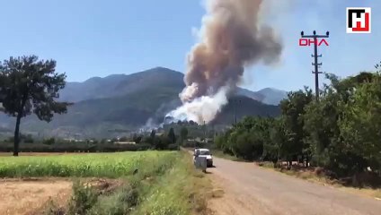 Seydikemer'de orman yangını