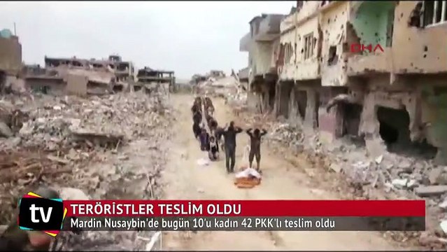 Mardin Nusaybin'de bugün 10'u kadın 42 PKK'lı teslim oldu