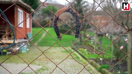 “Çılgın proje”nin sakin insanları