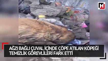 Ağzı bağlı çuval içinde çöpe atılan köpeği temizlik görevlileri fark etti