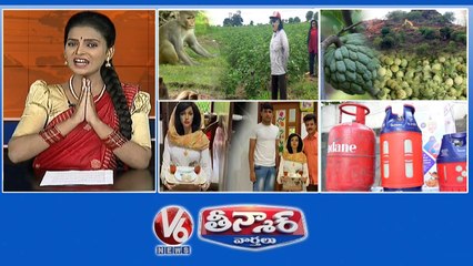 Farmer Idea-Monkeys Away | Costly Custard Apple | Keral Boy-Robot Works | Fiber Gas Cylinder | V6 Weekend Teenmaar