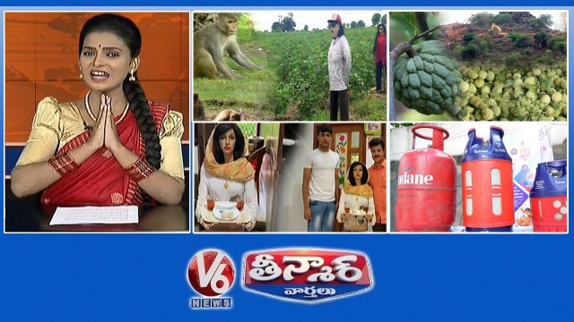 Farmer Idea-Monkeys Away | Costly Custard Apple | Keral Boy-Robot Works | Fiber Gas Cylinder | V6 Weekend Teenmaar