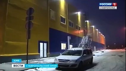 250 kg mandalina buldozerle ezilerek imha edildi