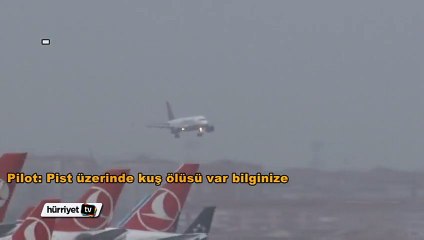 Pilottan kuleye: ‘Pistte kuş ölüsü var’