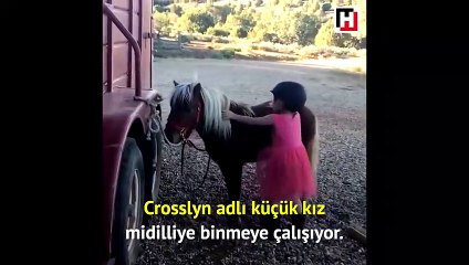 Sevimli kızın midilliye binme çabası