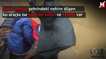 Nehirde mahsur kaldı kurtulunca gözleri köpeğini aradı