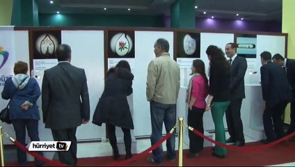 Mikro minyatürlere makro ilgi