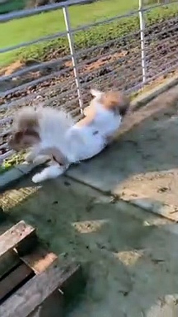 Funny videos ।। Comedy videos ।। New Entertainment videos