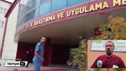 Vaşak'ın yaşam mücadelesi