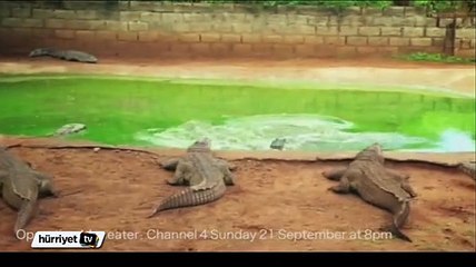 Bir anda timsahın saldırısına uğradı