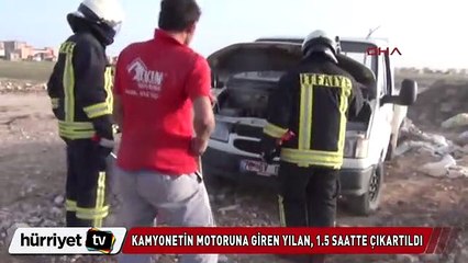 Kamyonetin motoruna giren yılanı böyle çıkardılar