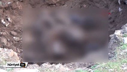 Şanlıurfa'da arazide 2 ceset bulundu
