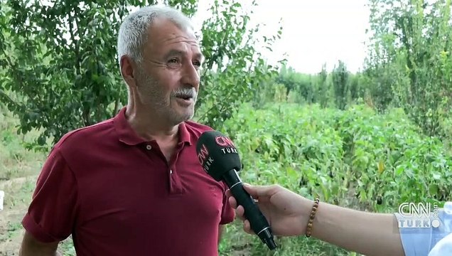 Hevsel Bahçeleri nde 8 bin yıldır tarım yapılıyor