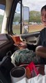 Son Loses Pet Cockroach on Road Trip