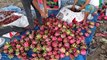 Amazing Modern Dragon Fruit Processing Factory, How To Harvest Fruit Selling & Packaging  Process