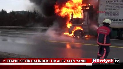 TEM'DE SEYİR HALİNDEKİ TIR ALEV ALEV YANDI