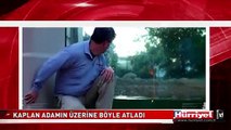 KAPLAN ADAMIN ÜZERİNE BÖYLE ATLADI