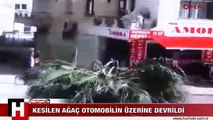 KESİLEN AĞAÇ OTOMOBİLİN ÜZERİNE DEVRİLDİ