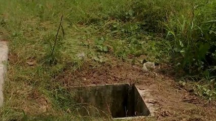 Hombre sufre graves fracturas tras caer en alcantarilla en Soledad, Atlántico