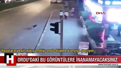 ORDU'DA KAZALAR VE İLGİNÇ ANLAR MOBESE'DE