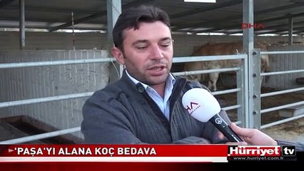 PAŞA 30 BİN TL'YE SATIŞA ÇIKTI