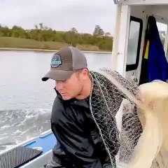 CARA MENANGKAP IKAN DENGAN MUDAH