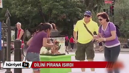 Yok böyle bir şaka! Pirana dilini ısırdı