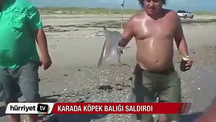 Karada köpek balığı saldırdı
