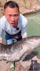JENIUS ❗❗ DIDUGA STREES MANCING PRIA INI SEDOT AIR LAUT