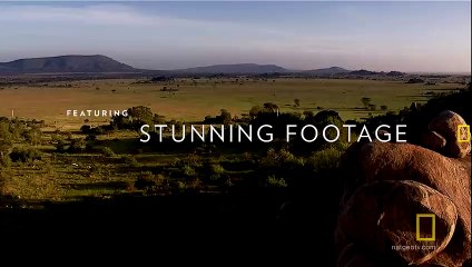 Symphony for Our World Bande-annonce (EN)