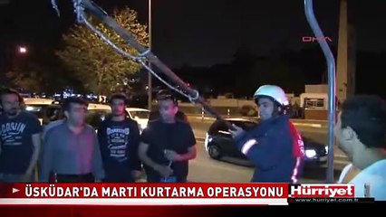 ÜSKÜDAR'DA MARTI KURTARMA OPERASYONU