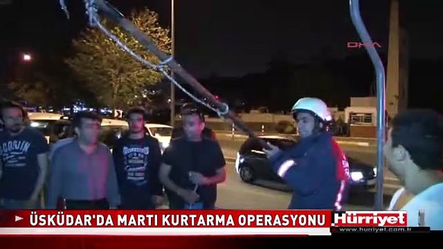 ÜSKÜDAR'DA MARTI KURTARMA OPERASYONU