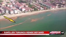 BU DEFA BÜYÜKÇEKMECE VE KUMBURGAZ SAHİLİ TURUNCU RENGE BOYANDI