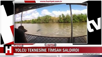 AÇ TİMSAHIN YOLCU TEKNESİNE SALDIRDIĞI KORKUNÇ AN