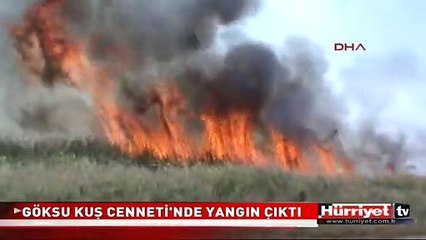 GÖKSU KUŞ CENNETİ'NDE YANGIN ÇIKTI