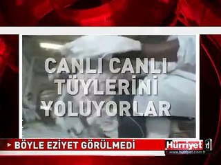 HAYVANSEVERLERİ AYAĞA KALDIRACAK GÖRÜNTÜLER