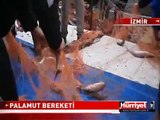 FOÇA'DA PALAMUT BEREKETİ