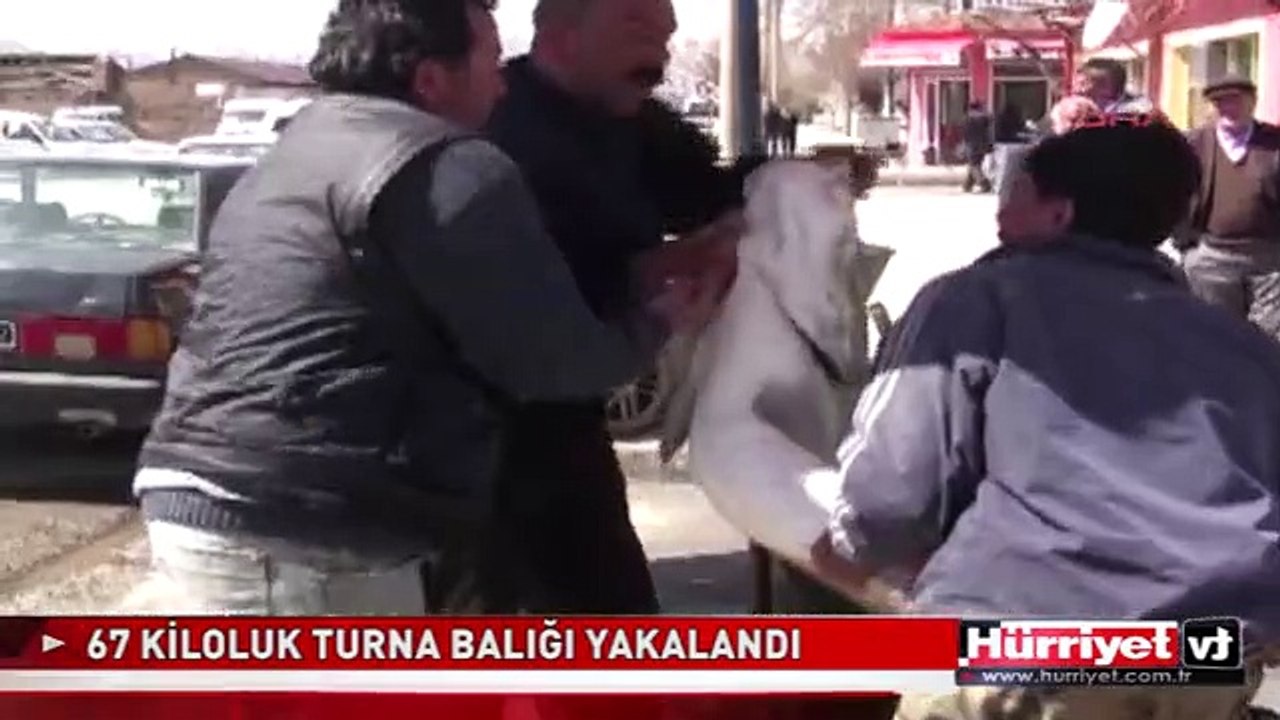 67 KİLOLUK TURNA BALIĞI YAKALANDI