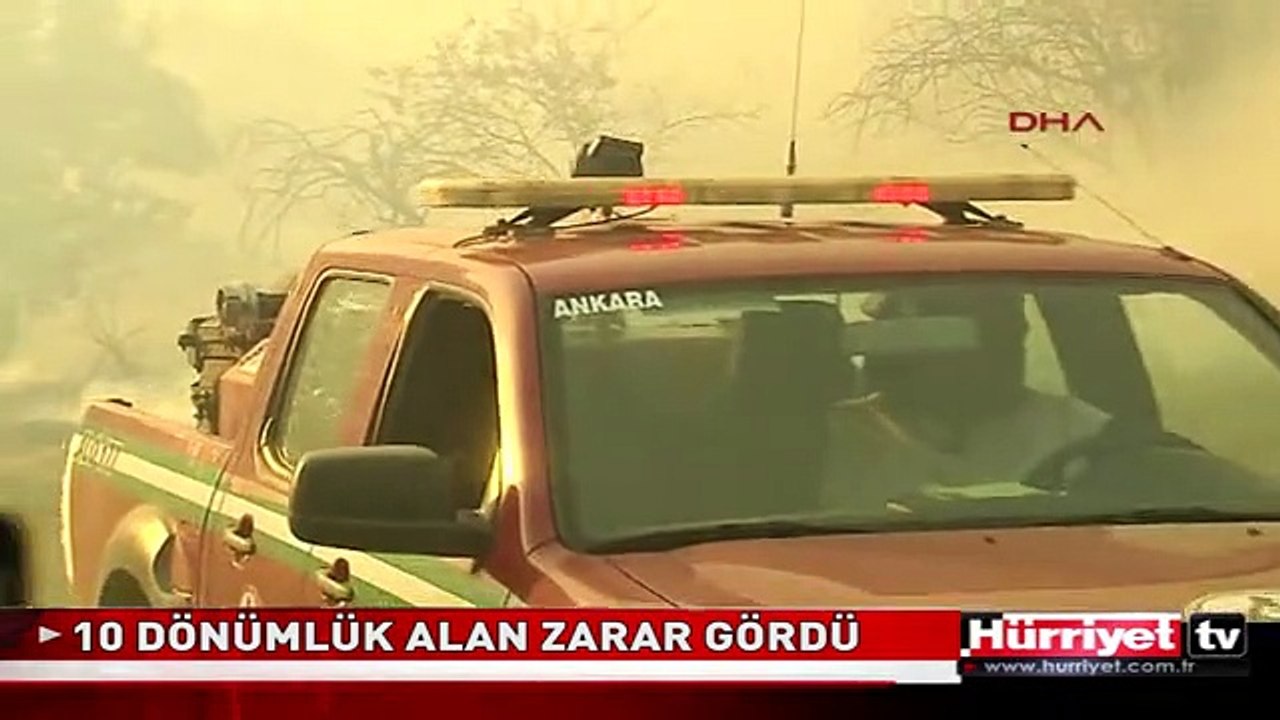 ANKARA ALEV ALEV