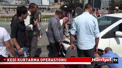 MAHSUR KALAN KEDİYİ HEM KURTARDI HEM SAHİPLENDİ